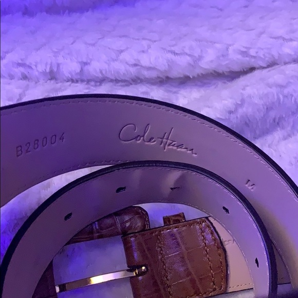 Belt - Picture 3 of 3